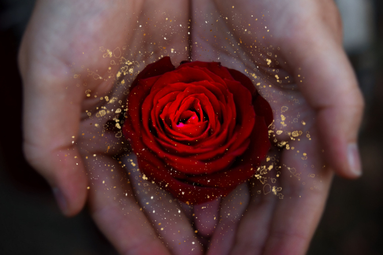 Lisa Taps – Deine spirituelle Mentorin